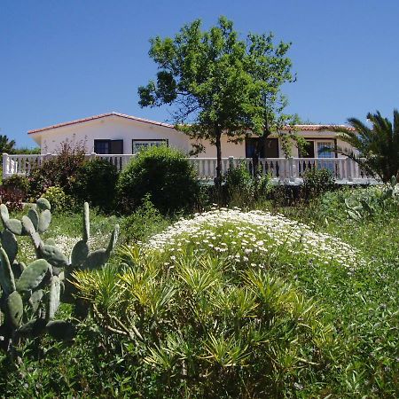 Casitas Vista Valle Bajo El Paso Esterno foto